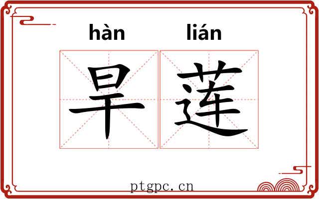 旱莲