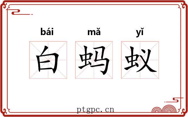 白蚂蚁 白蚂蚁