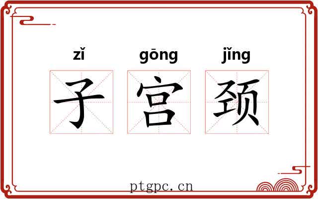 子宫颈