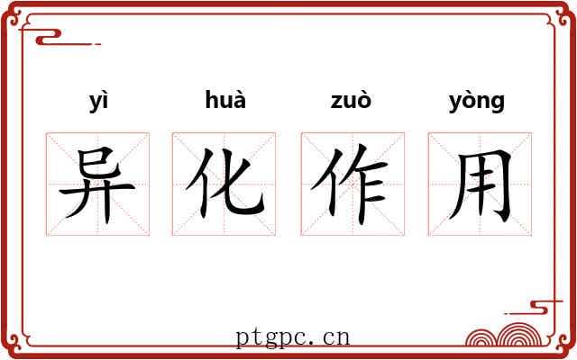 异化作用 异化作用