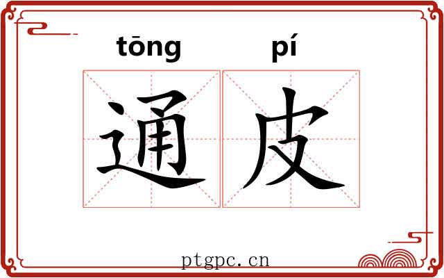 通皮 通皮