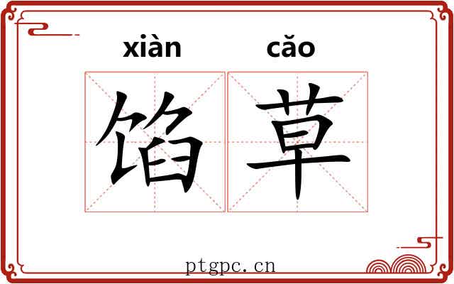馅草 馅草