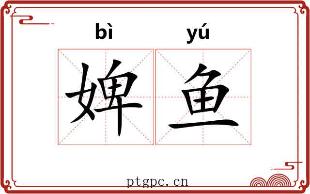 婢鱼