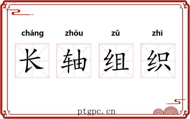 长轴组织 长轴组织