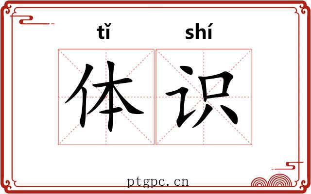 体识 体识