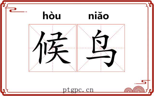 候鸟