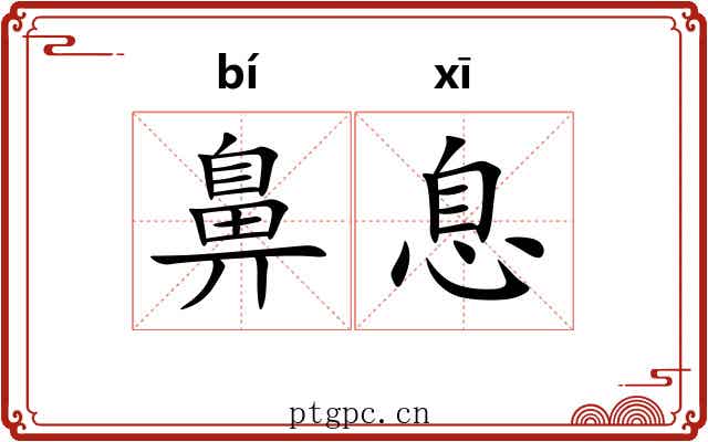 鼻息 鼻息