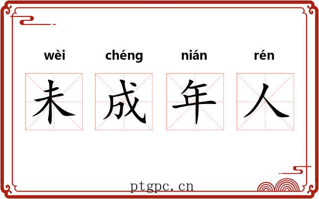 未成年人 未成年人