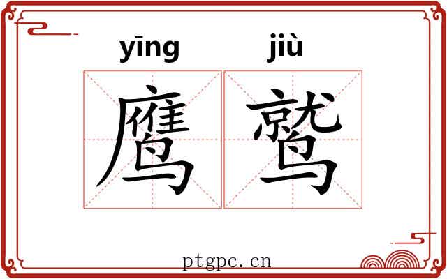 鹰鹫 鹰鹫
