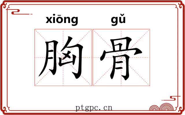 胸骨 胸骨
