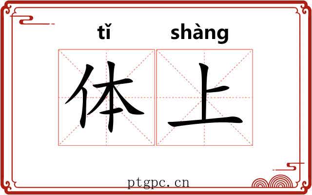 体上