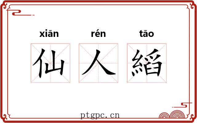 仙人縚 仙人縚