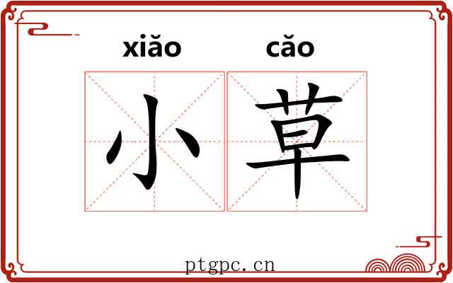 小草 小草