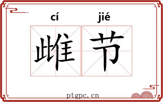 雌节 雌节