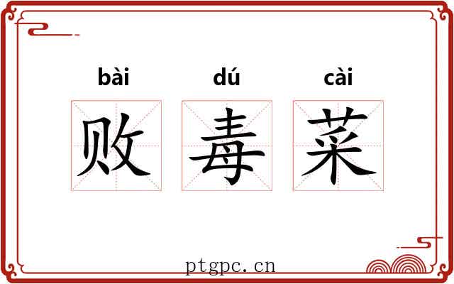 败毒菜