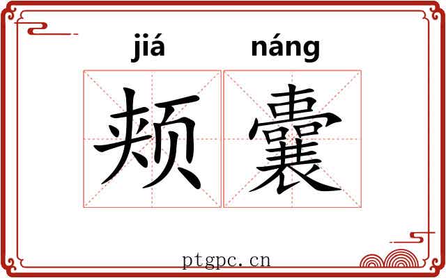 颊囊