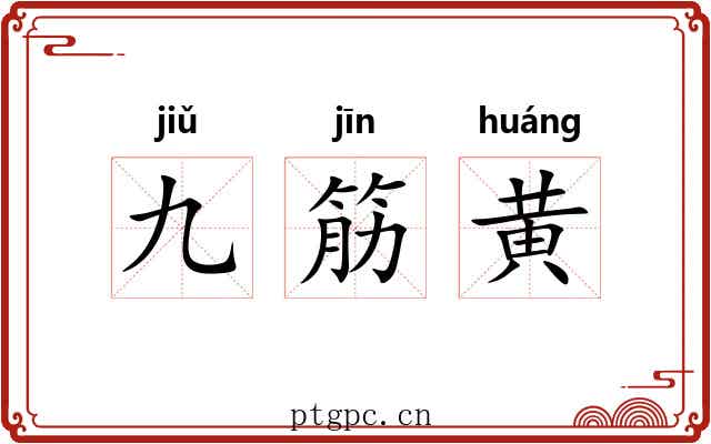 九筋黄 九筋黄