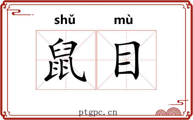 鼠目