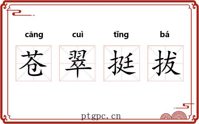 苍翠挺拔 苍翠挺拔