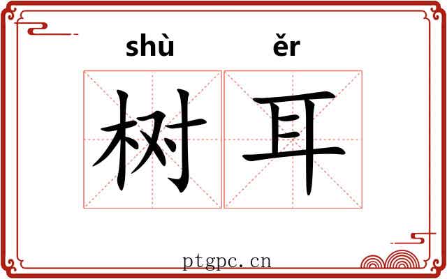 树耳 树耳