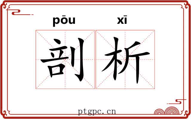 剖析 剖析