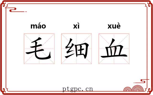 毛细血 毛细血