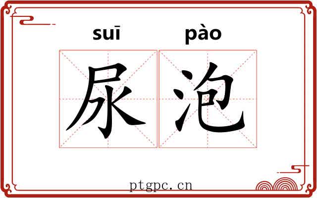 尿泡 尿泡