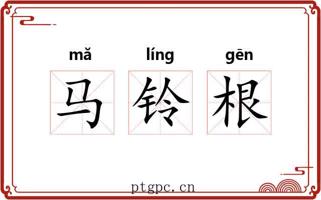 马铃根 马铃根
