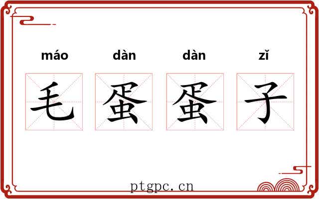 毛蛋蛋子