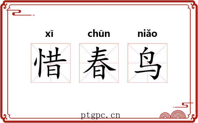 惜春鸟 惜春鸟