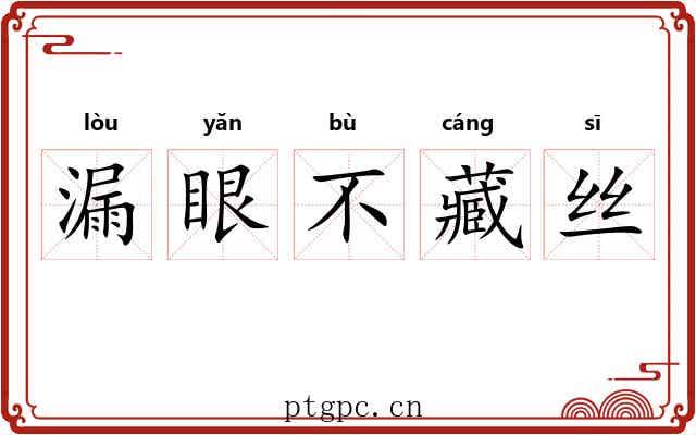 漏眼不藏丝 漏眼不藏丝