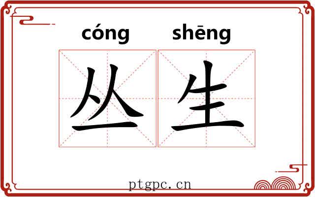 丛生 丛生