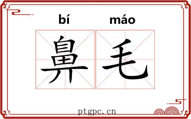鼻毛 鼻毛