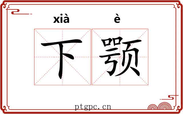 下颚 下颚