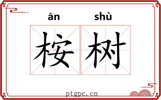 桉树