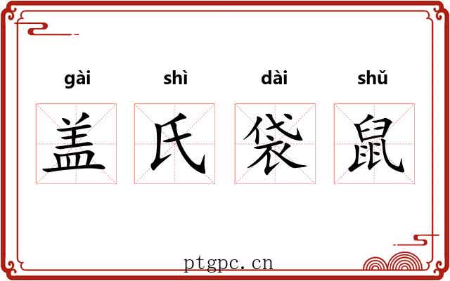 盖氏袋鼠 盖氏袋鼠