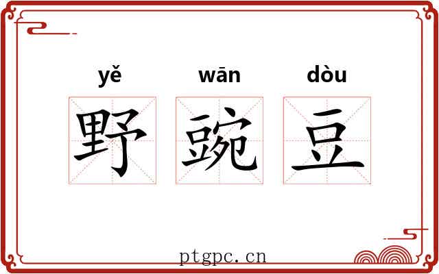 野豌豆 野豌豆