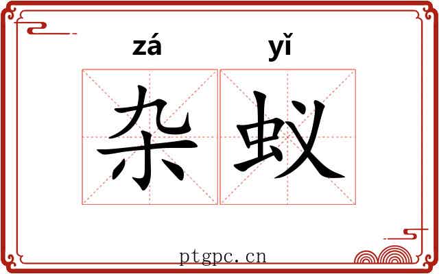 杂蚁
