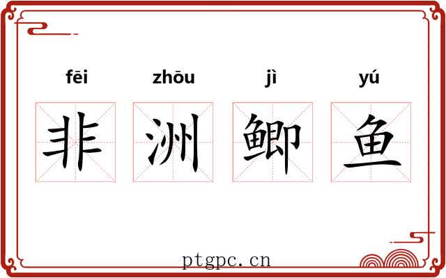 非洲鲫鱼 非洲鲫鱼