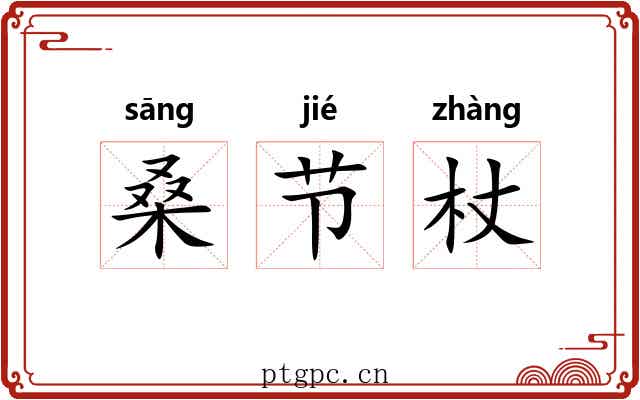 桑节杖 桑节杖