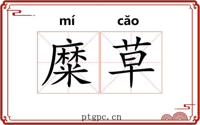 糜草 糜草