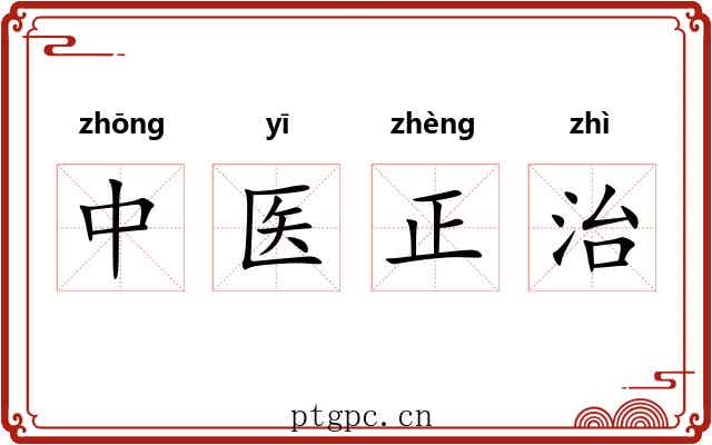 中医正治 中医正治