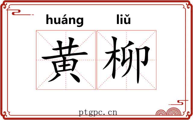 黄柳