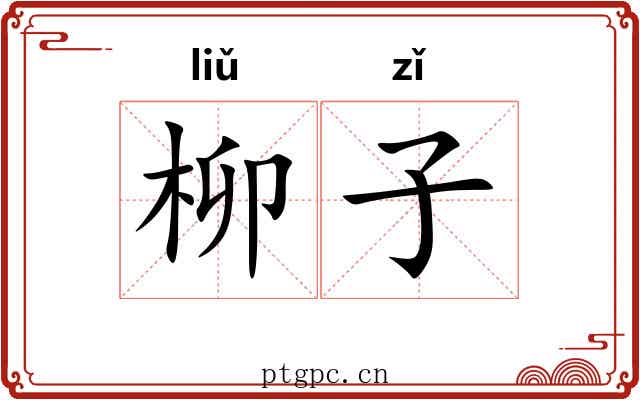 柳子 柳子