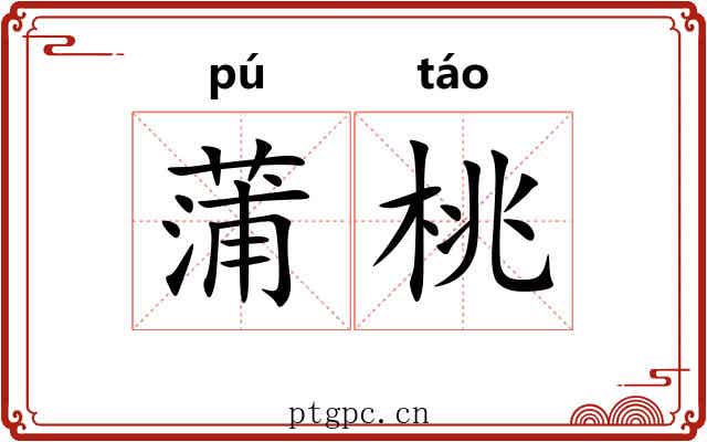 蒲桃 蒲桃