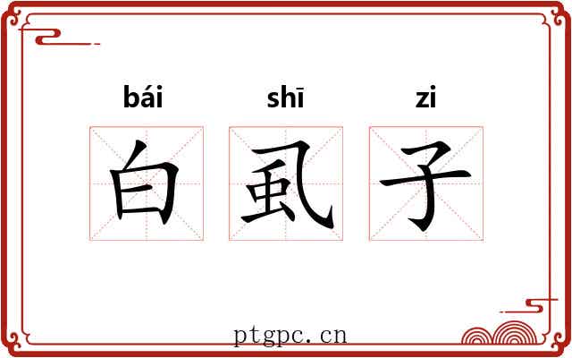 白虱子 白虱子