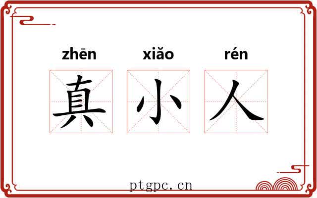 真小人 真小人