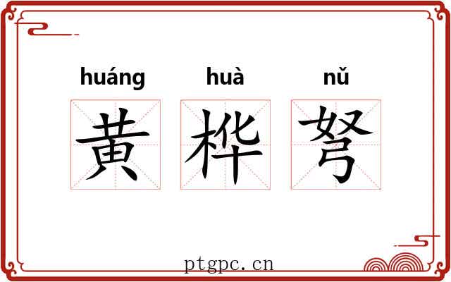 黄桦弩 黄桦弩