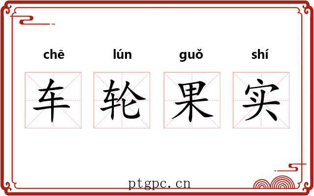 车轮果实 车轮果实
