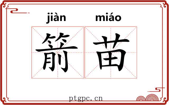 箭苗 箭苗